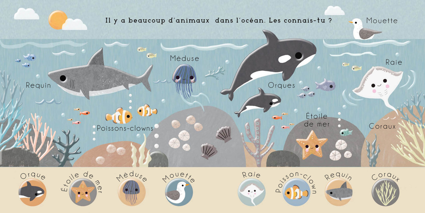 Bébé découvre – Océan