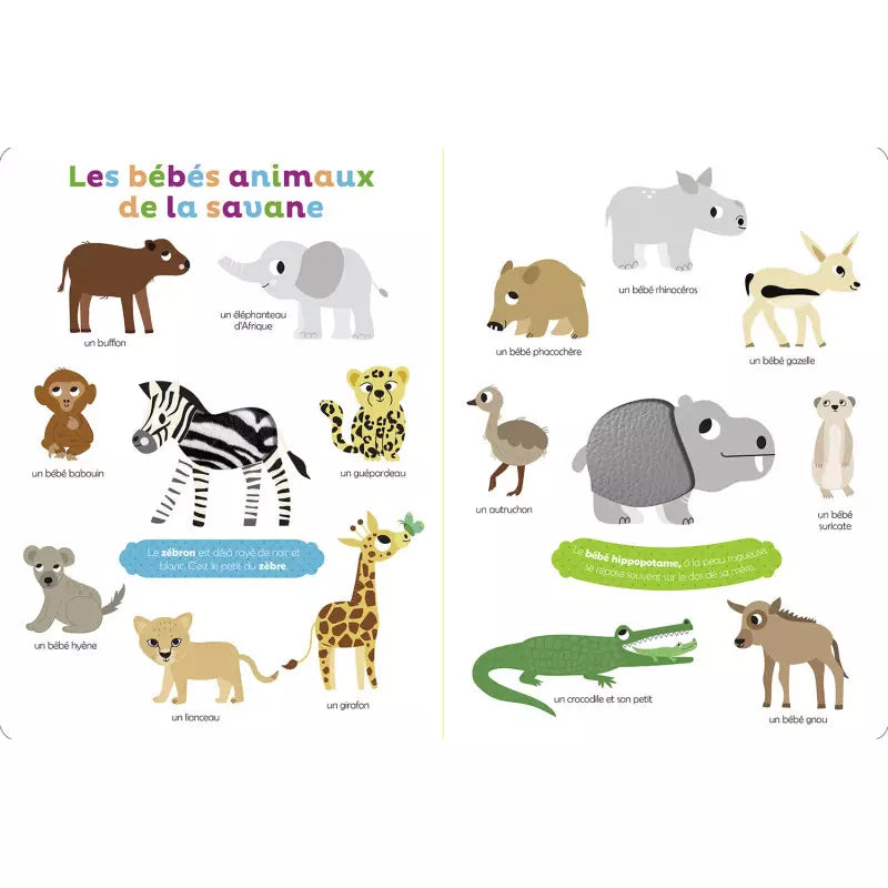 Mes Premiers Bébés Animaux A Toucher