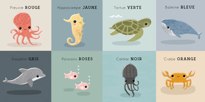 Bébé découvre – Océan