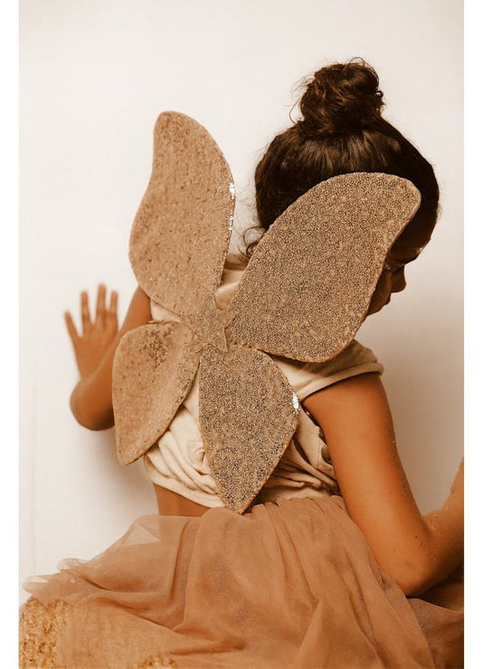 Déguisement - Ailes scintillantes