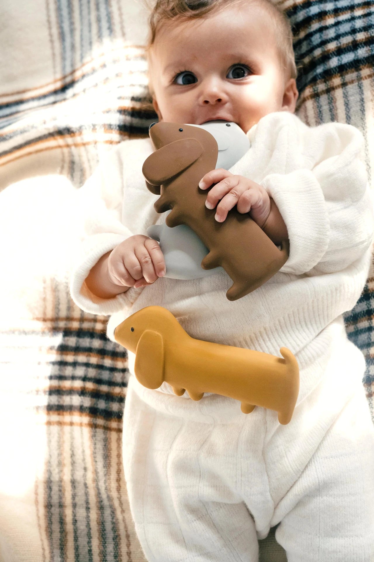 Hochet Gommu Chien - Chocolat