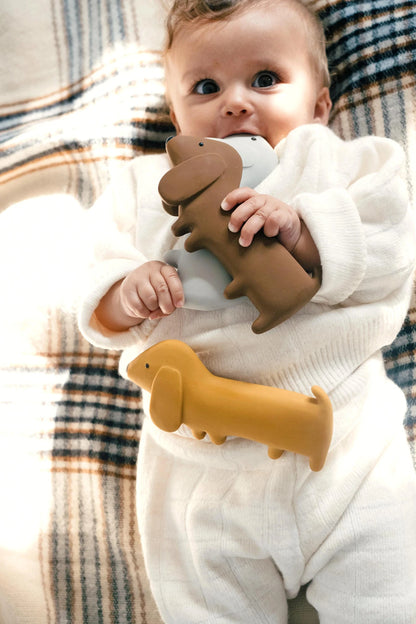 Hochet Gommu Chien - Chocolat