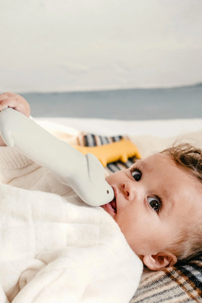 Hochet Gommu Chien - Ocean