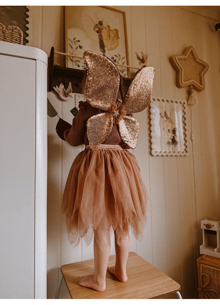 Déguisement - Ailes scintillantes