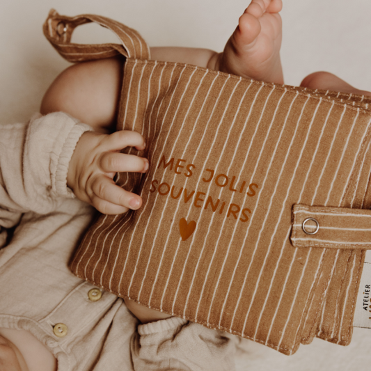 Mini album photo - Gaze Rayures fines