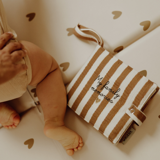 Mini album photo - Gaze rayures larges